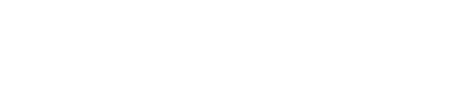 Chanakya Business School Logo